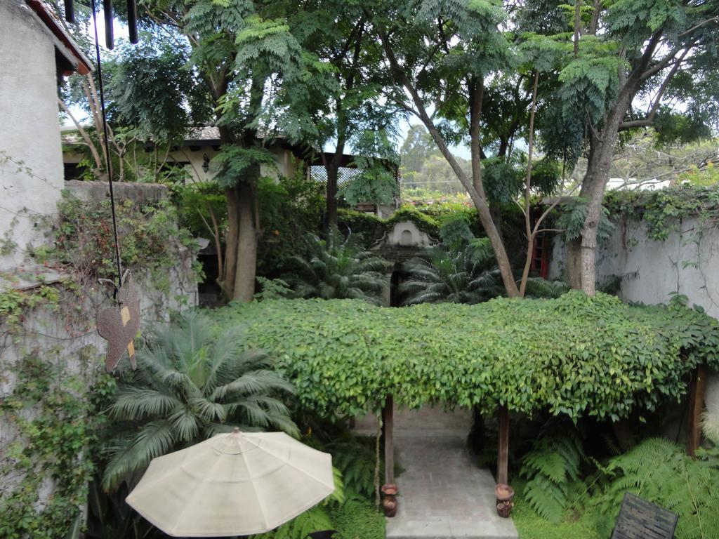 Cissus Hotel Boutique (Adults Only) Antigua Exterior foto