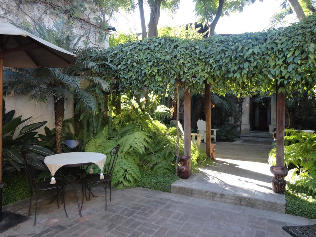 Cissus Hotel Boutique (Adults Only) Antigua Exterior foto