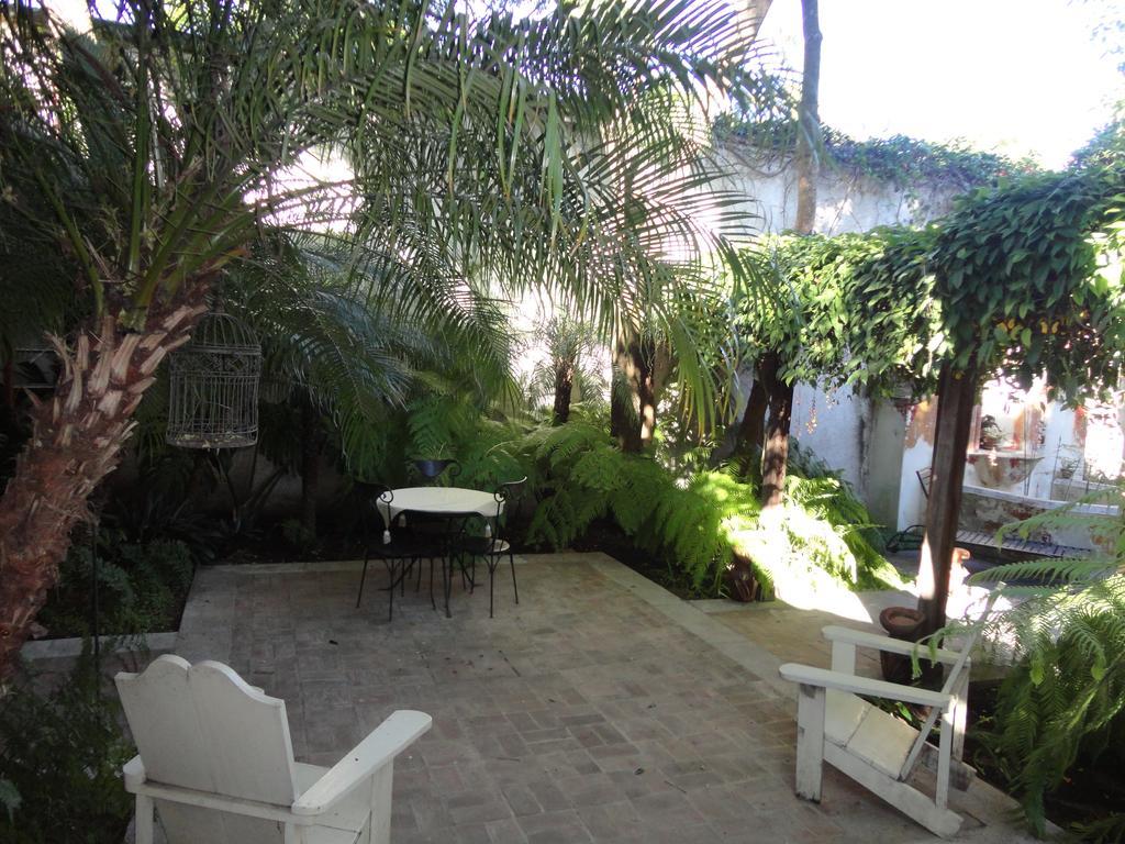 Cissus Hotel Boutique (Adults Only) Antigua Exterior foto
