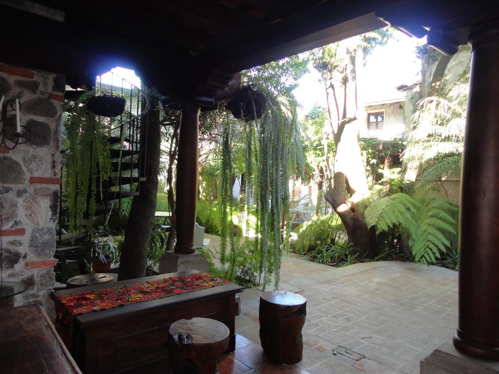 Cissus Hotel Boutique (Adults Only) Antigua Exterior foto