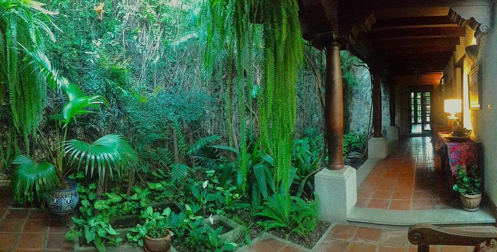 Cissus Hotel Boutique (Adults Only) Antigua Exterior foto