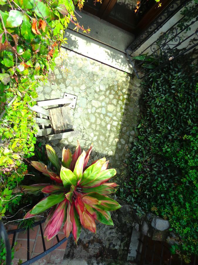 Cissus Hotel Boutique (Adults Only) Antigua Exterior foto