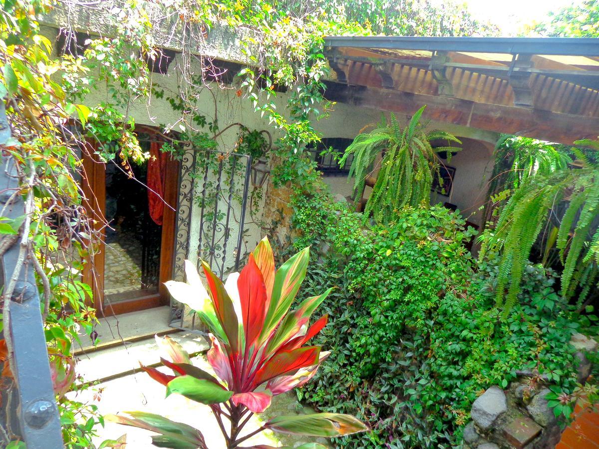 Cissus Hotel Boutique (Adults Only) Antigua Exterior foto